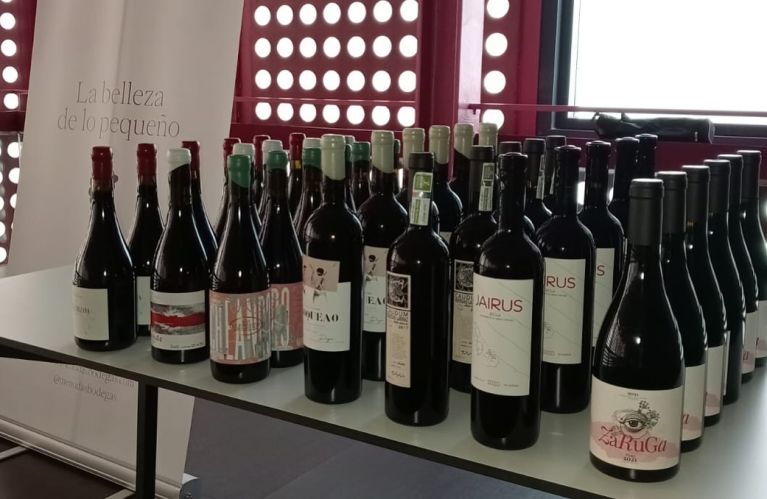 menudas-bodegas-de-rioja-da-una-espectacular-cata-en-su-presentacion-en-el-centro-de-la-cultura-del-rioja